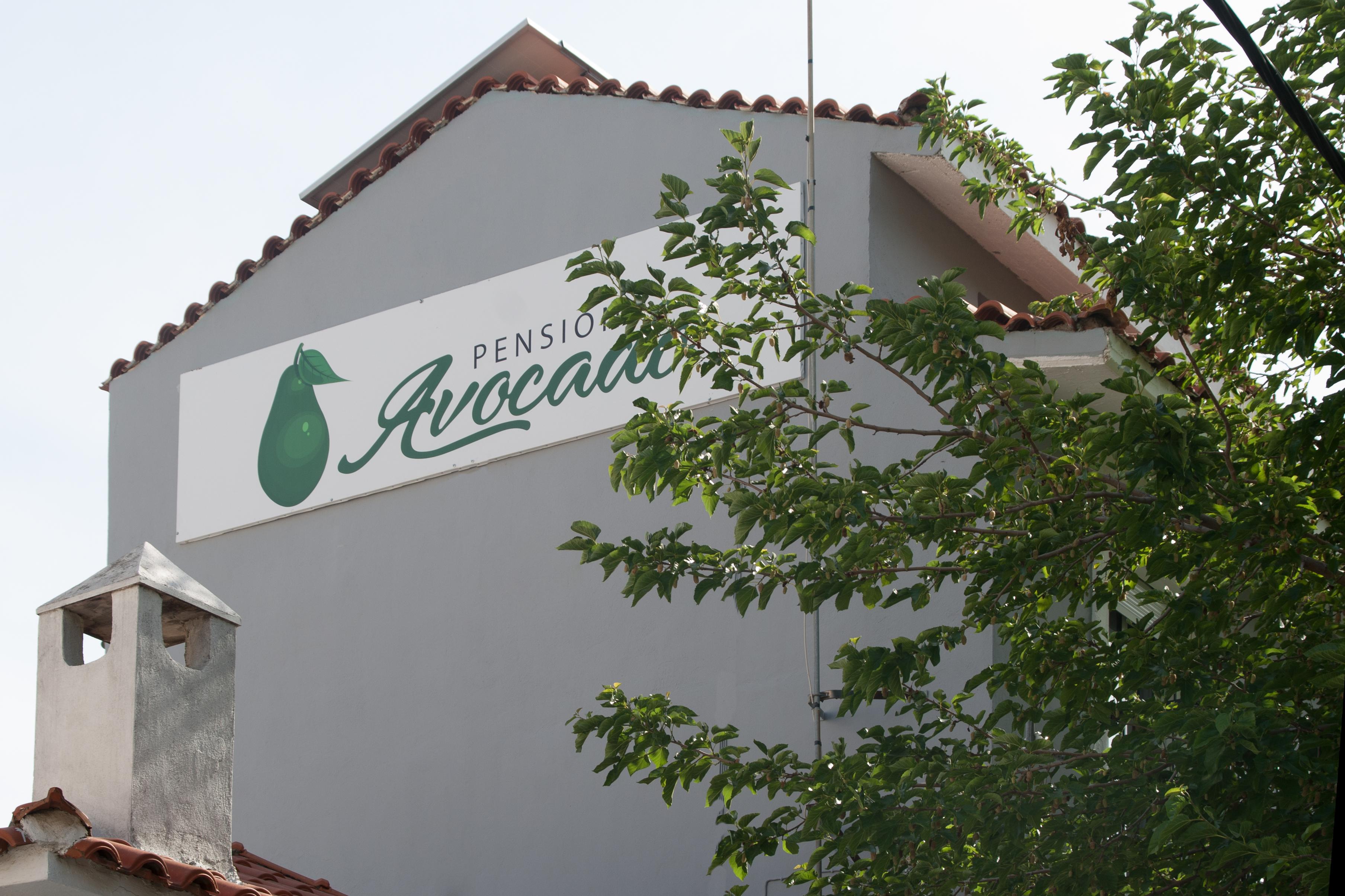Avocado Skiathos المظهر الخارجي الصورة